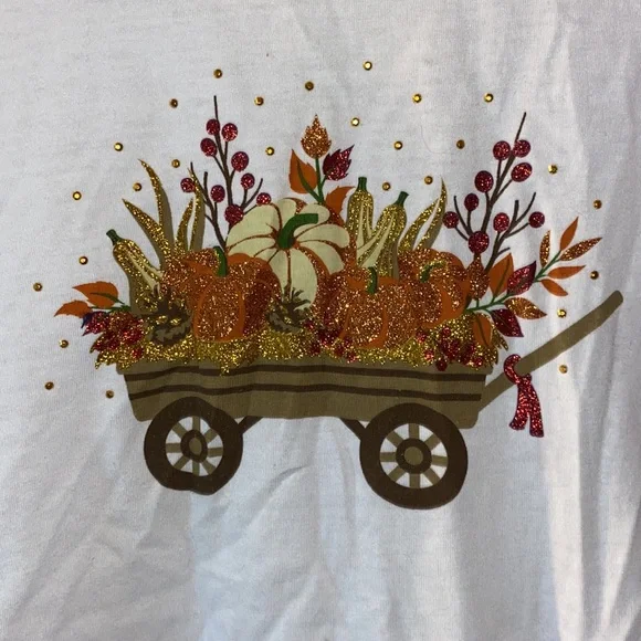 ✅Gloria Vanderbilt Long Sleeve Tee - Picture 2 of 5